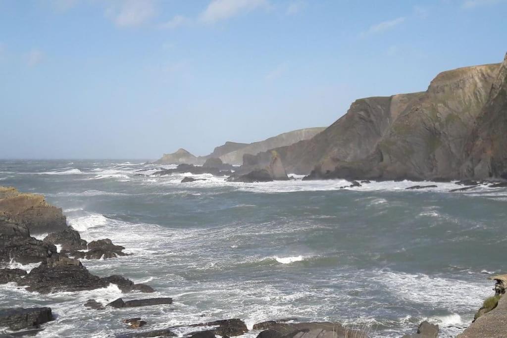 Coastal Cottage 'The Garden Cottage ' Hartland Exteriér fotografie